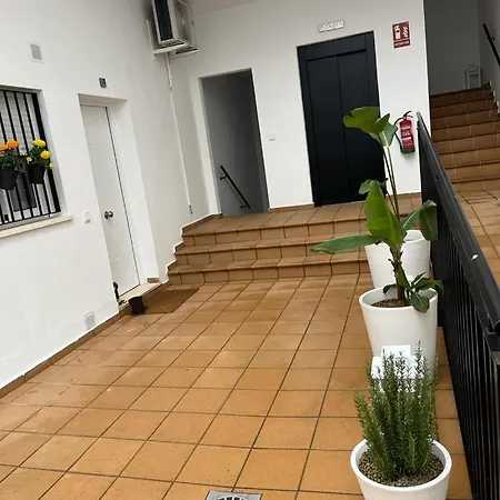 Sherry Vi Parking Gratuito Jerez de la Frontera