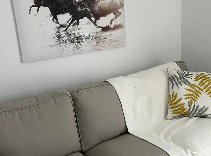 Sherry Vi Parking Gratuito Jerez de la Frontera